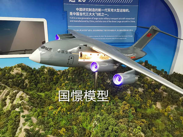 长武县飞机模型
